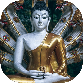 Blue seated Buddha - Light therapy for Health Wellness Consciousness Expansion - London Herts Essex - Lucia No3